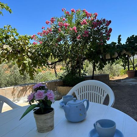 Casa Rural Del Saz يستي المظهر الخارجي الصورة
