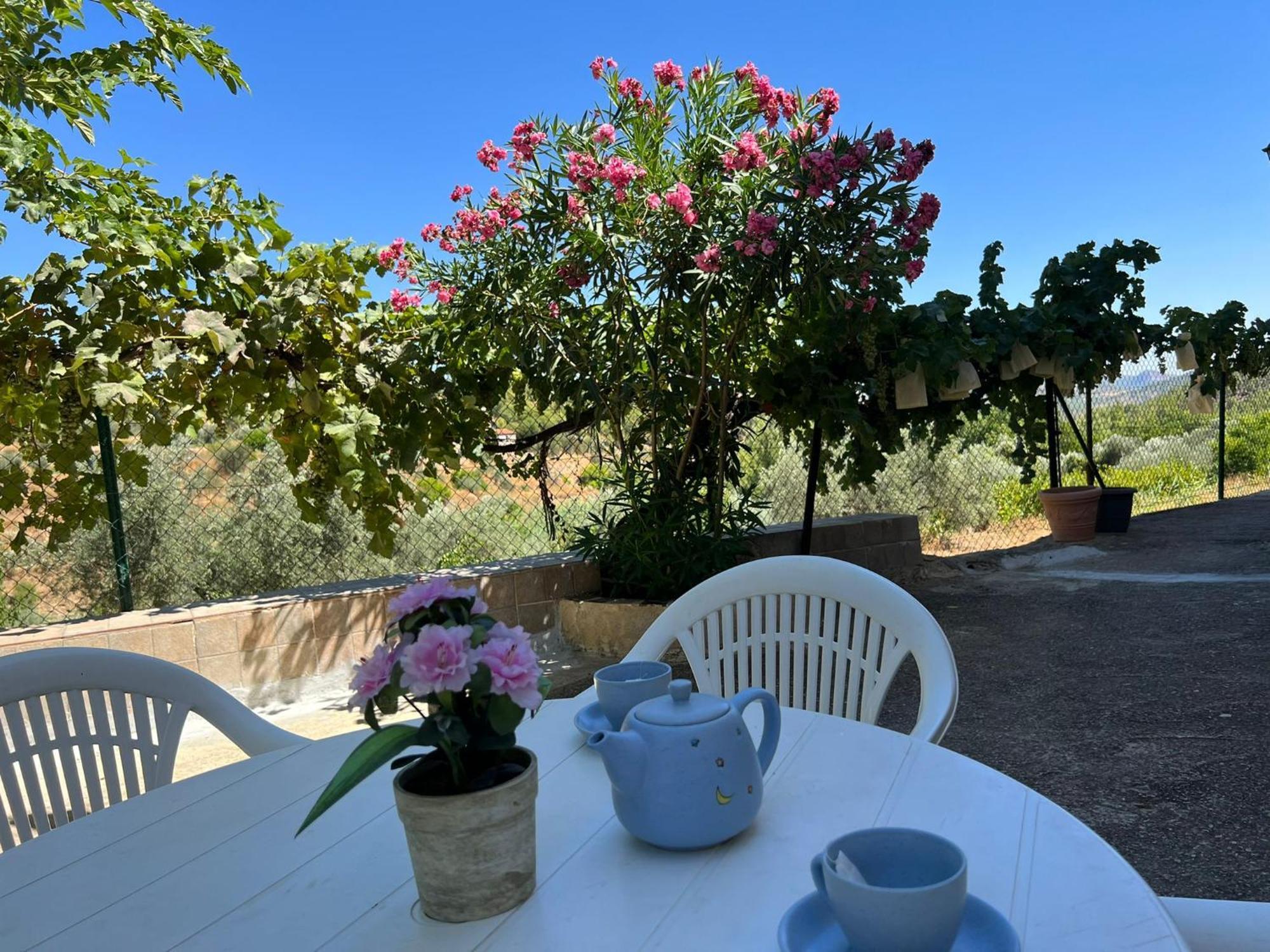 Casa Rural Del Saz يستي المظهر الخارجي الصورة